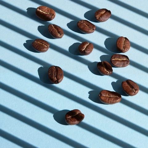 Beans in window light